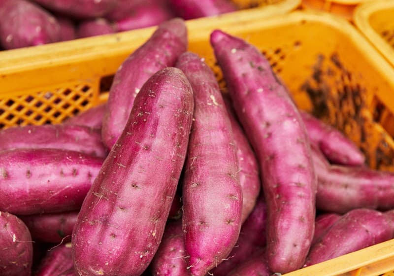 images/1711961307301sweet potato.jpg